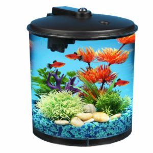 AquaView Fish Tank
